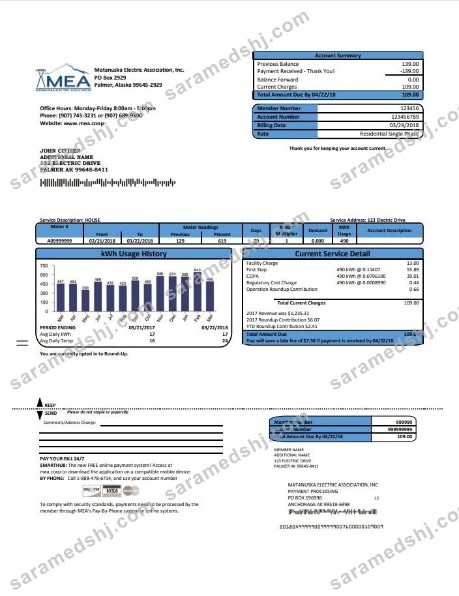 USA MEA Alaska electricity utility bill template in Word and PDF format